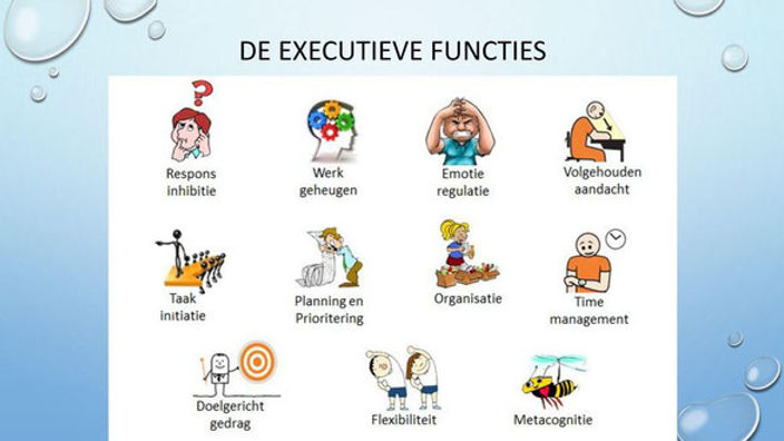 Executieve Vaardigheden | My Site